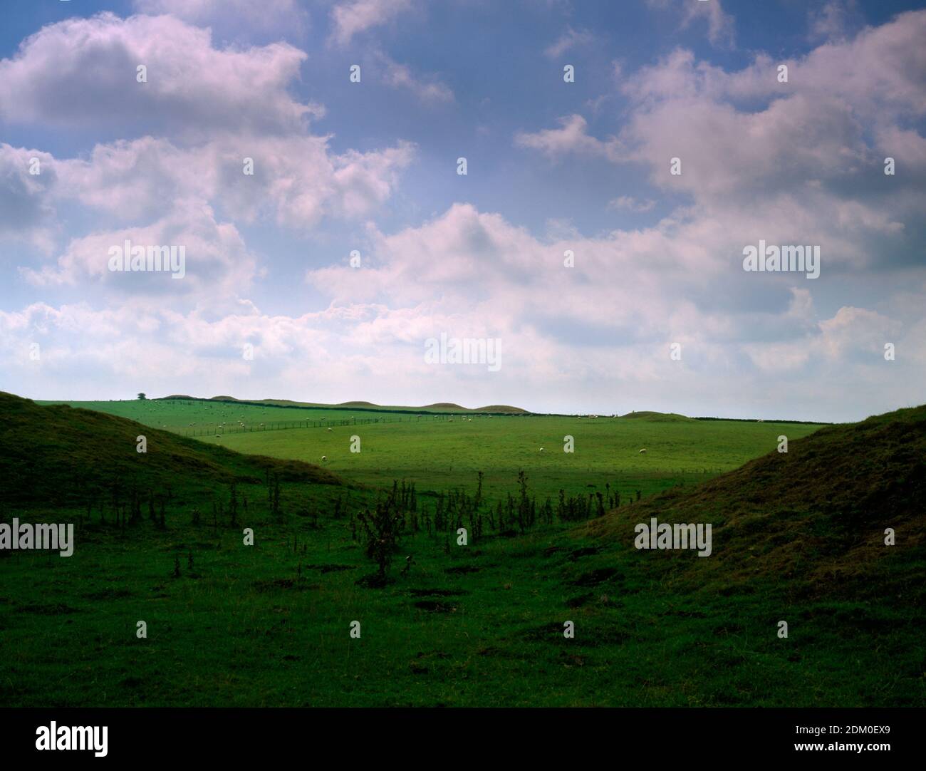 Blick auf Priddy Nine Barrows von Ashen Hill Round Barrows, Wells, Somerset. Stockfoto