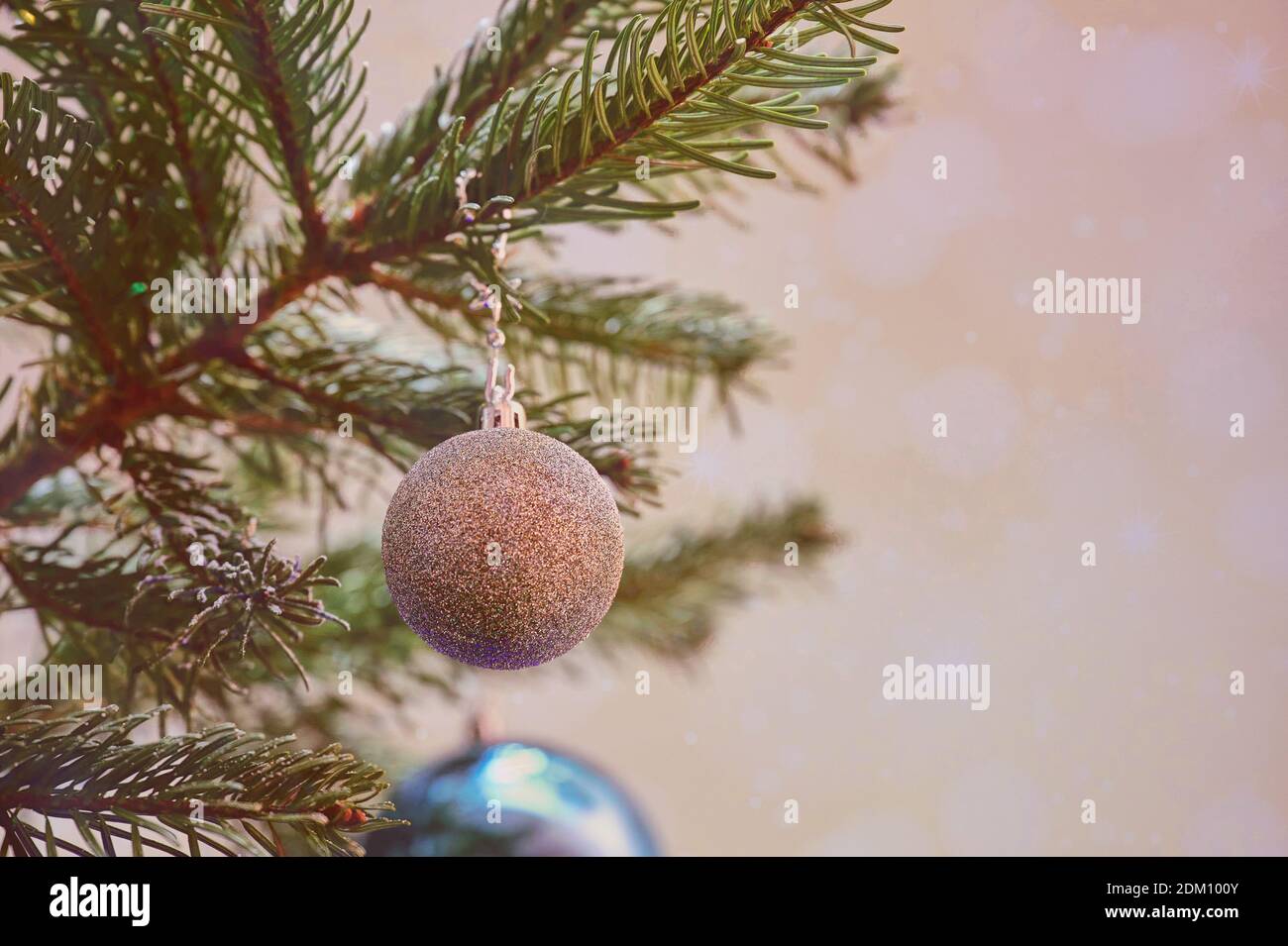 Hintergrund mit einer weihnachtskugel auf einem Zweig und Stern Bokeh, mit Kopierraum Stockfoto