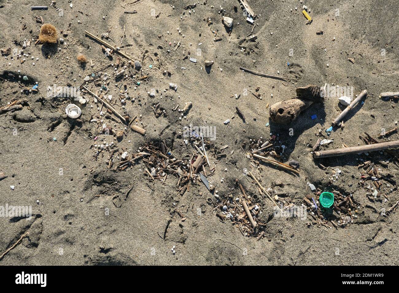 Plastikverschmutzung an der sandigen Küste, Verschmutzung von Umweltabfällen, Tierabdrücke Stockfoto