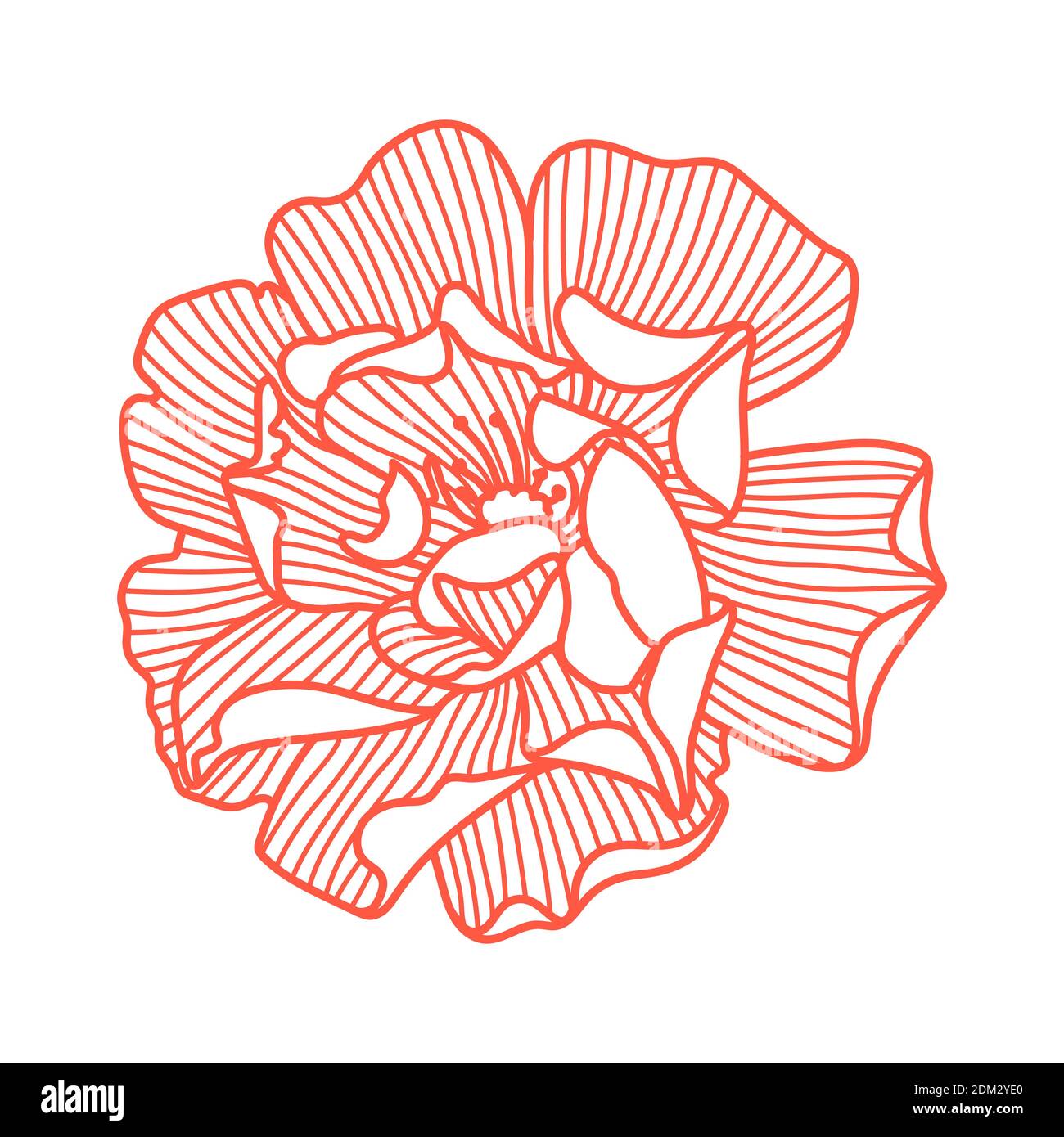 Illustration der zarten Rose. Stock Vektor