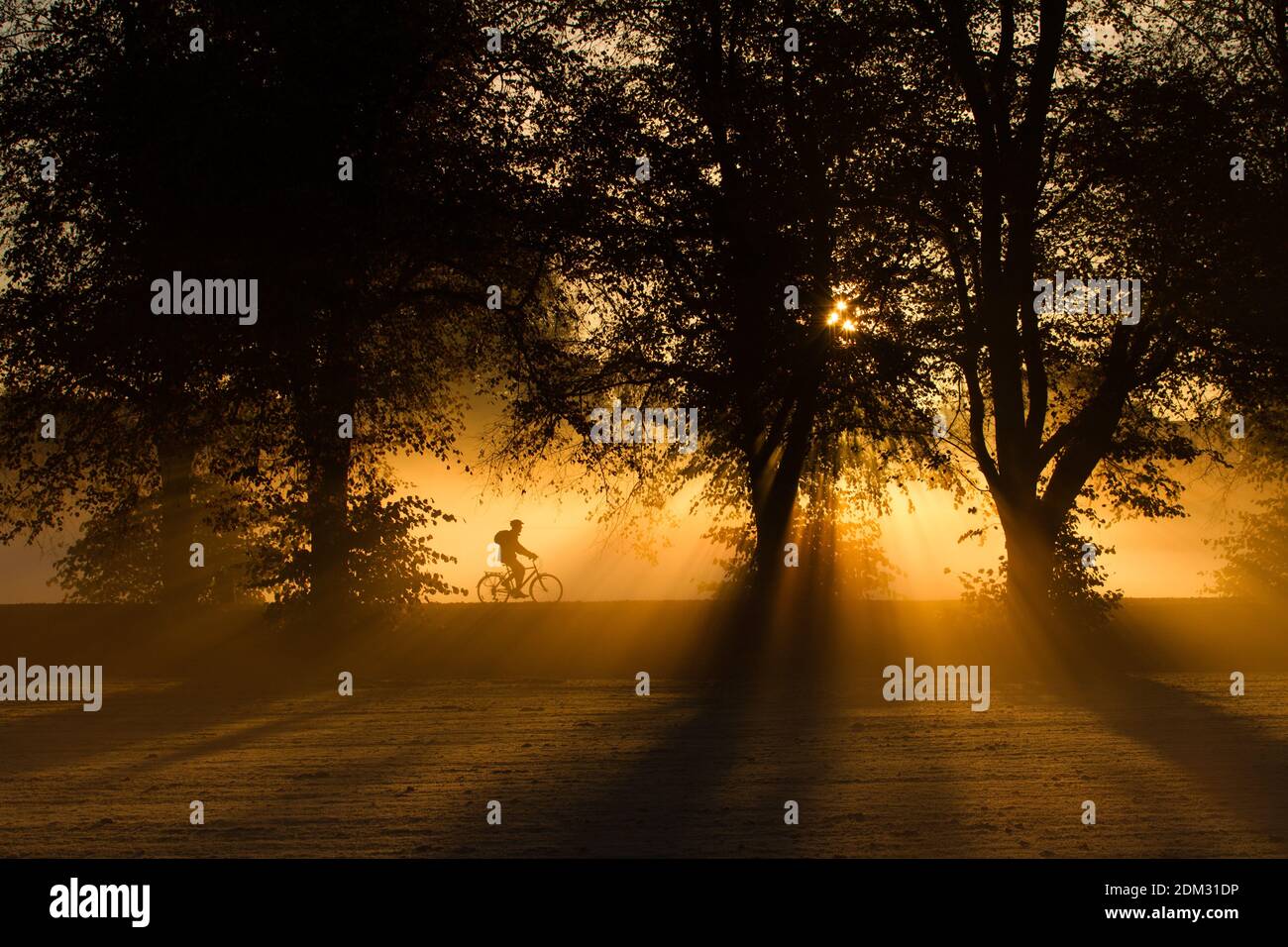 Morgens auf dem Weg zur Arbeit Stockfoto