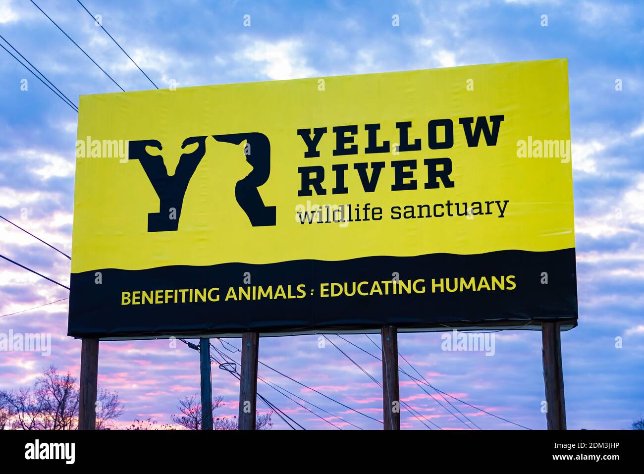 Yellow River Wildlife Sanctuary in der Nähe von Atlanta, Georgia. (USA) Stockfoto