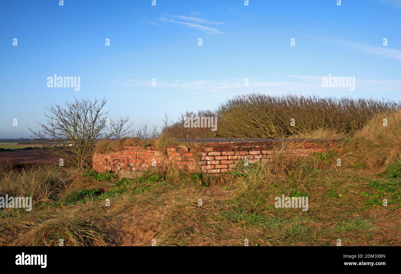 Die Spitze einer sechseckigen Pillendose des Typs 22 aus dem Zweiten Weltkrieg, die fast vollständig in Sanddünen in Waxham, Norfolk, England, Vereinigtes Königreich, vergraben ist. Stockfoto