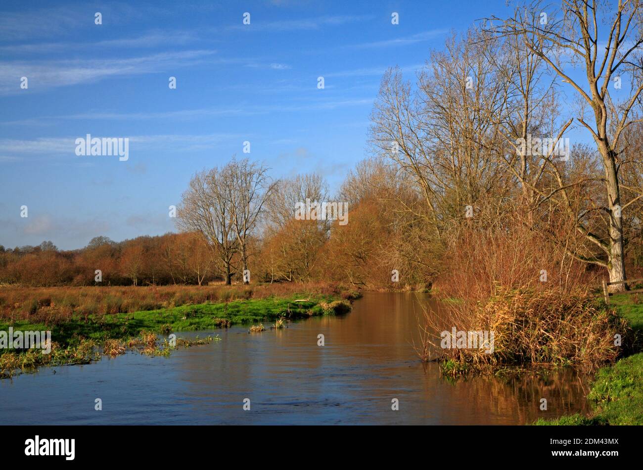 Ein Blick auf den oberen Bereich des Flusses Yare in Spate von Marston Marshes Local Nature Reserve am Stadtrand von Norwich, Norfolk, England, Großbritannien. Stockfoto