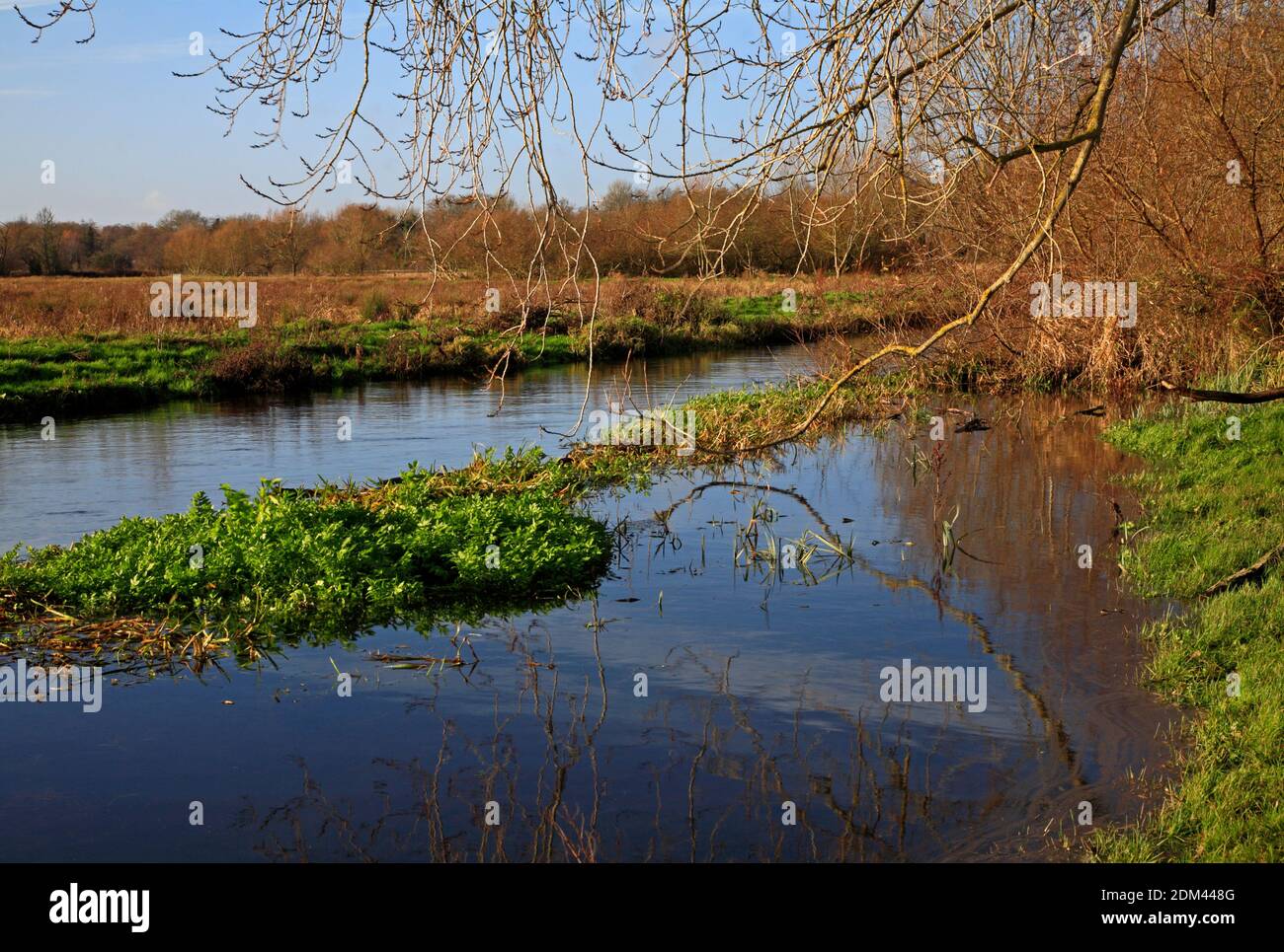 Ein Blick auf den oberen Bereich des Flusses Yare in Spate von Marston Marshes Local Nature Reserve am Stadtrand von Norwich, Norfolk, England, Großbritannien. Stockfoto