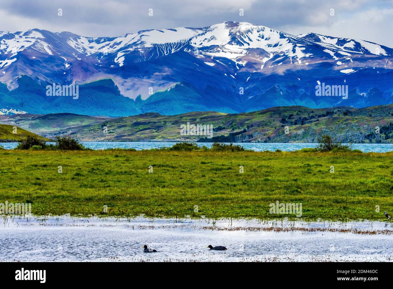 Bots Ducks Los Flamengos National Reserve Snow Mountains Torres del Paine Nationalpark Patagonien Chile Stockfoto