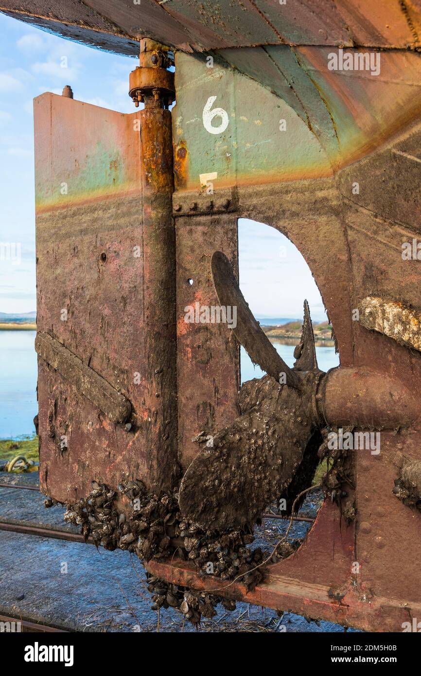 Ruder und Propellor, beide mit Seepocken bedeckt, der MV Kyle, ein kleines clyde Achterbahn Frachtschiff gebaut in 1872, derzeit im Trockendock warten auf Reparatur Stockfoto
