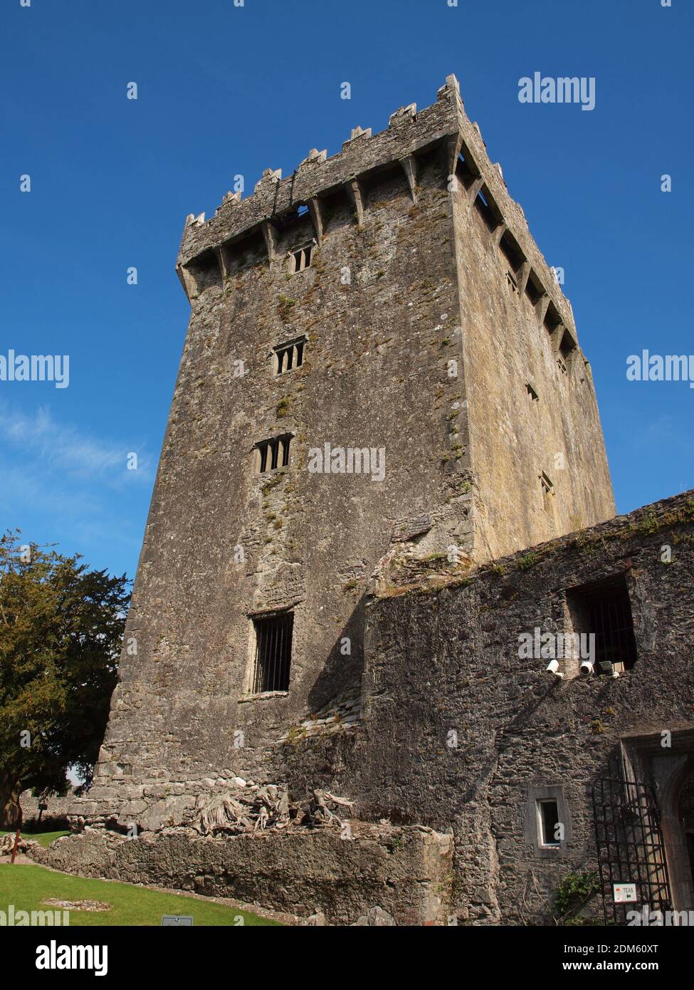 Blarney Castle in Irland. Erhalten Sie das Geschenk von gab durch Küssen der Blarney Stein. Ein Iren muss gesehen werden, wenn man auf der Emerald Isle ist. Stockfoto