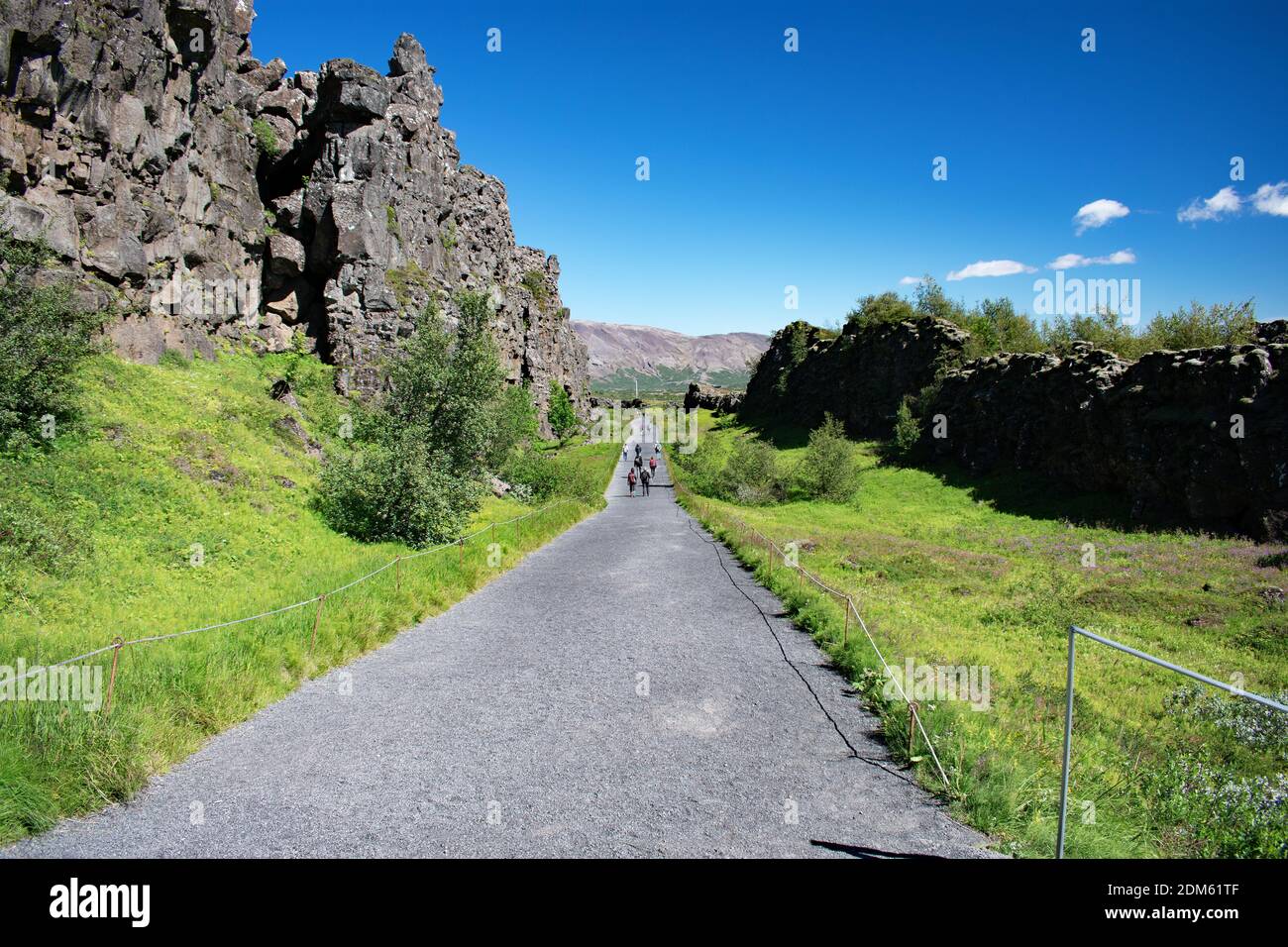 Besucher wandern auf einem Weg durch die Kontinentalscheide, Thingvellir Nationalpark, Island. Hohe Basaltfelsen, Gras und Bäume säumen den Weg. Stockfoto