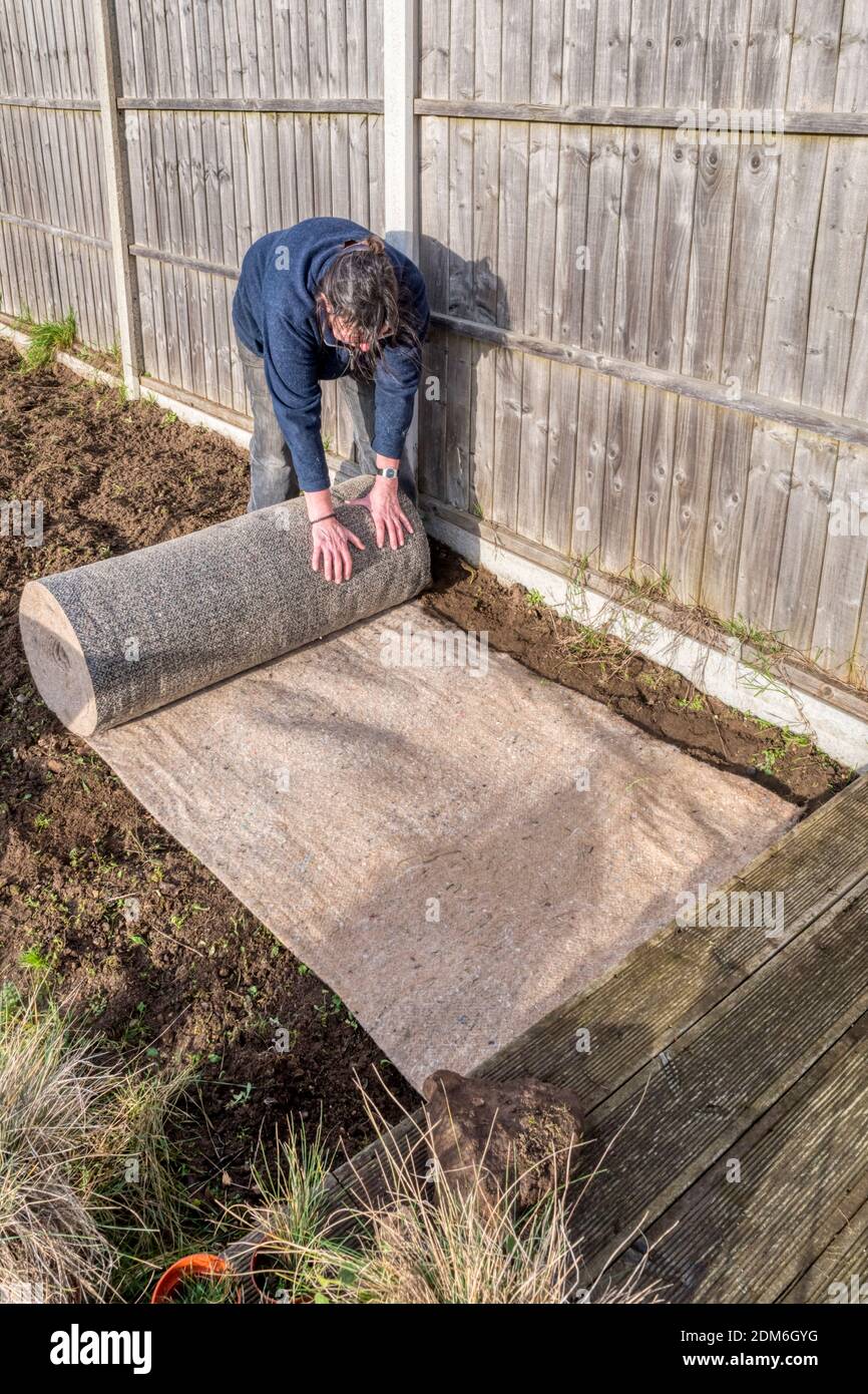 Frau Ausrollen einer Länge von biologisch abbaubaren Unkrautmatten in einem Garten Grenze, vor dem Pflanzen einer Hecke. Stockfoto