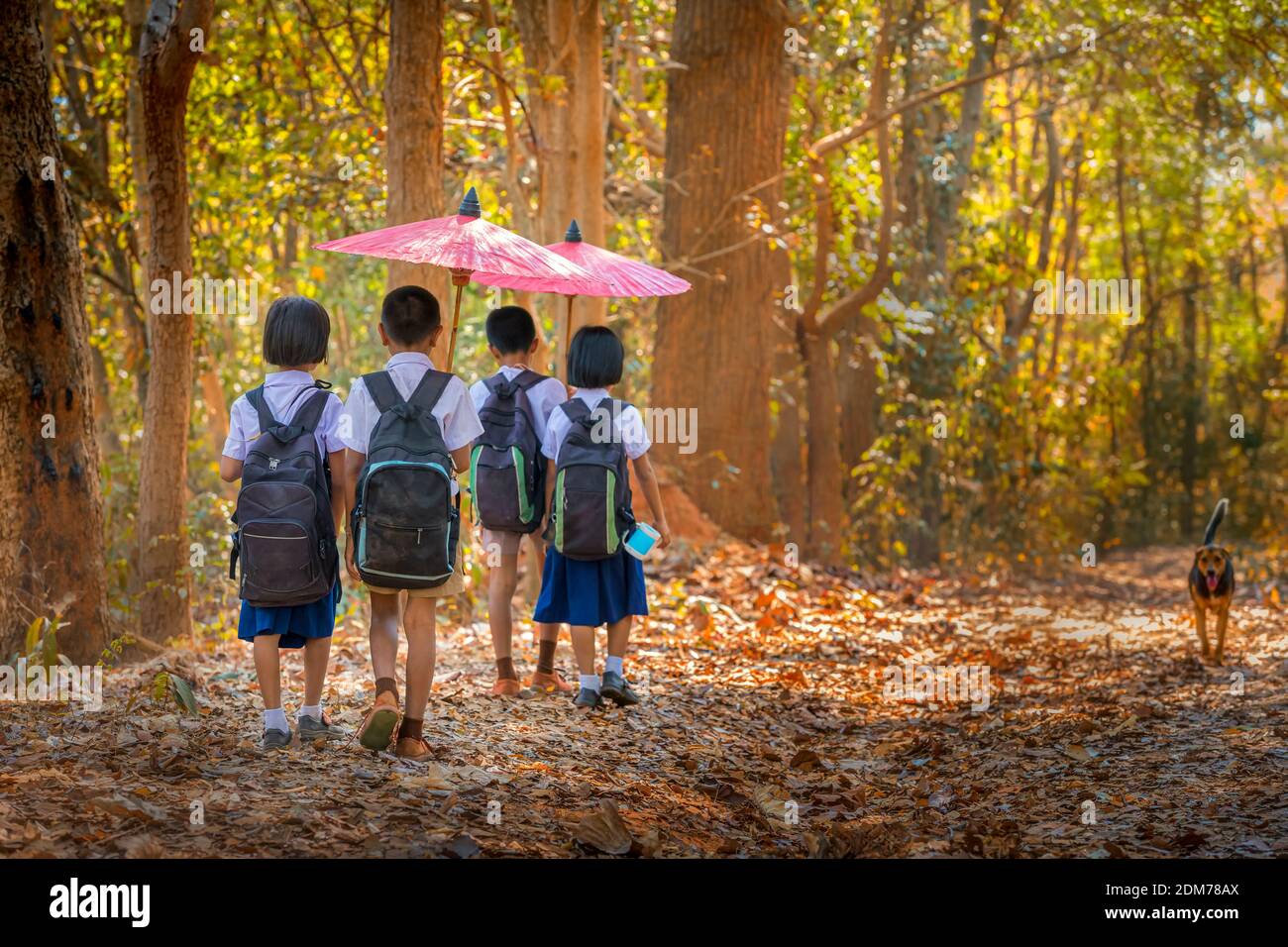 Child Walking School Holding Umbrella Stockfotos Und Bilder Kaufen Alamy