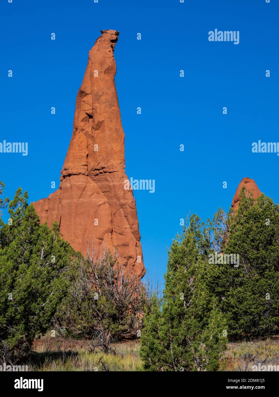 Sedimentäre Rohr Spire, Kodachrome Basin State Park, Cannonville, Utah. Stockfoto