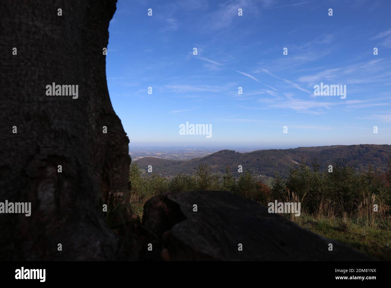 Blick vom Gipfel Rownica in Beskid Slaski mit einem Baum im Rahmen Stockfoto