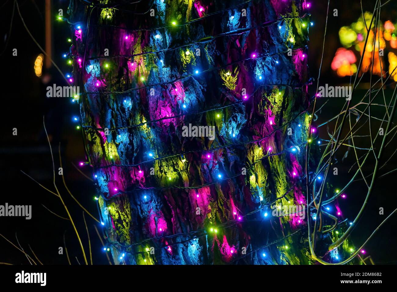 Abstrakter Hintergrund aus bunten Lichtern um den Baum gewickelt Stockfoto