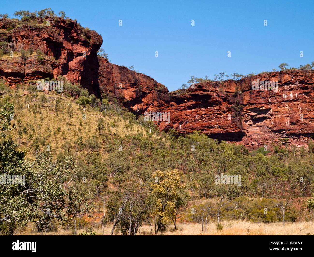 Sandsteinfelsen am Victoria Highway, Northern Territory, in der Nähe der Grenze zu WA. Die weißen Flecken sind Guano von nistenden Greifvögel. Stockfoto