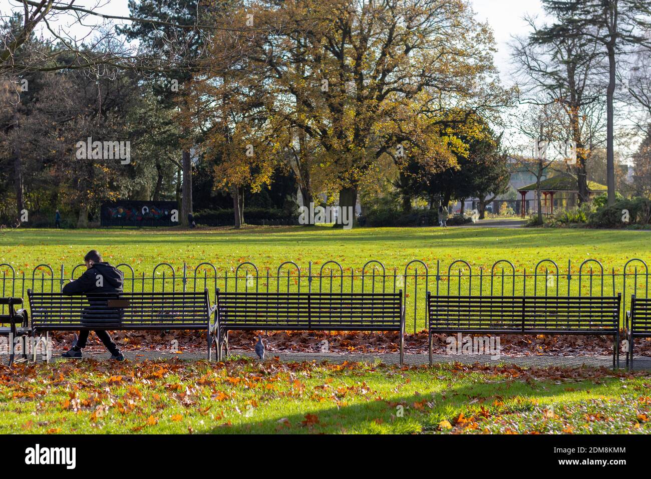 Ein künstlerischer Blick auf einen Park mit einem Fremden. Stockfoto