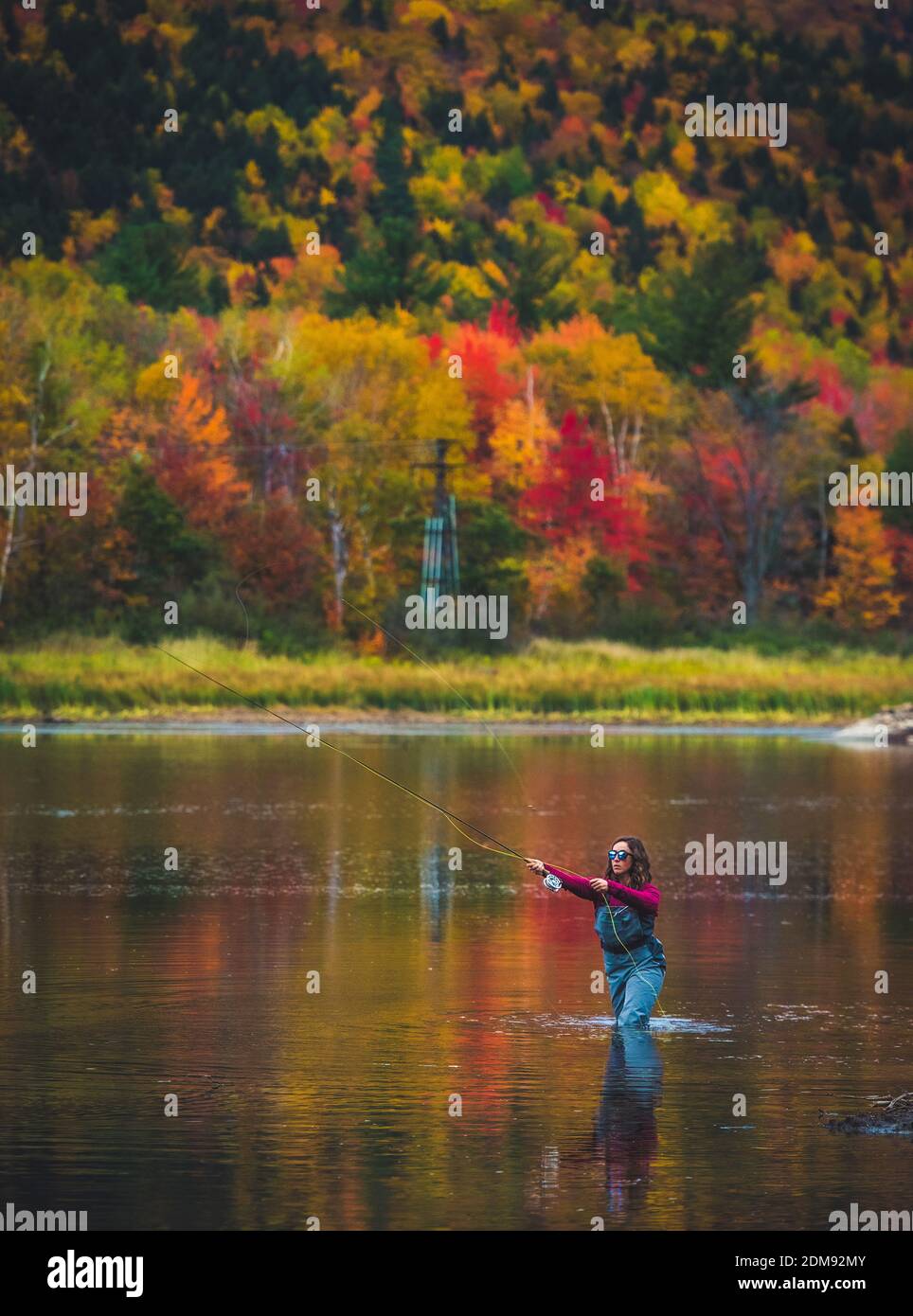 Weibliche Angler Gießen in Fluss mit hellen Laub Stockfoto