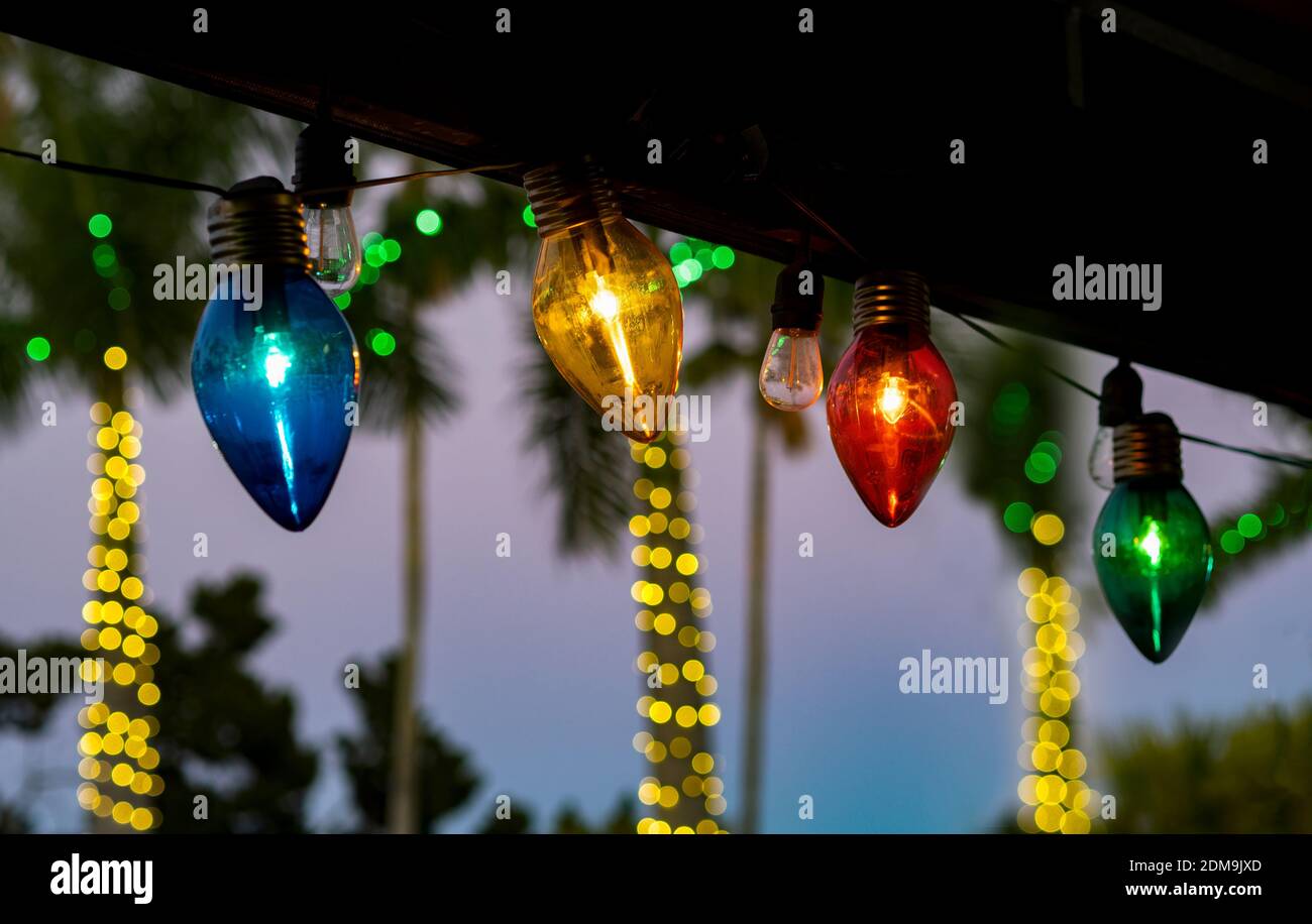 Weihnachtsbeleuchtung entlang Dachlinie mit Licht auf Bäumen in aufgereiht Hintergrund Stockfoto