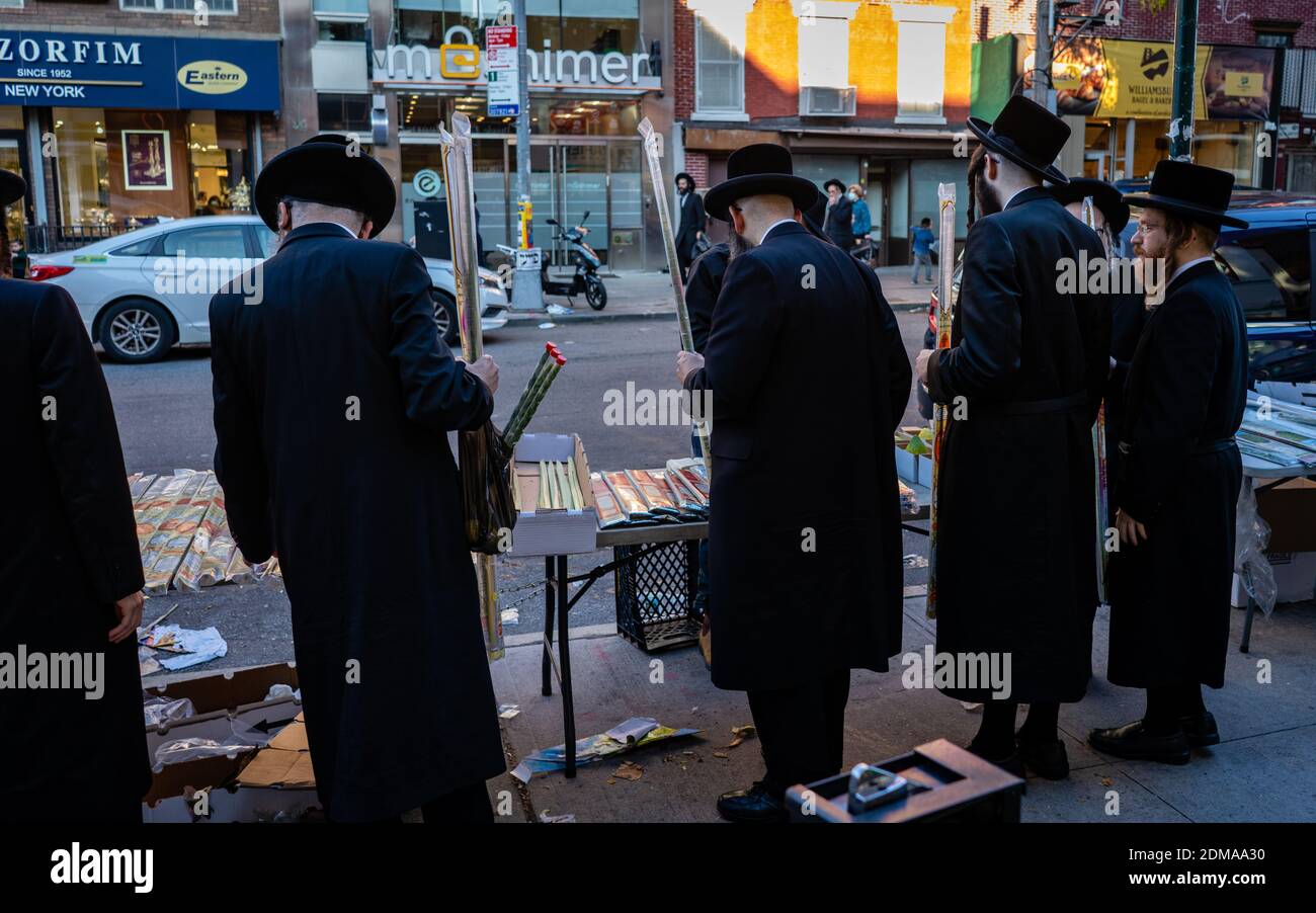 NEW Y, VEREINIGTE STAATEN - 01. Okt 2020: Ultraorthodoxe Juden aus dem Williamsburg-Viertel von Brooklyn kaufen Lulavs und Etrogs vor dem Sukkot ein Stockfoto