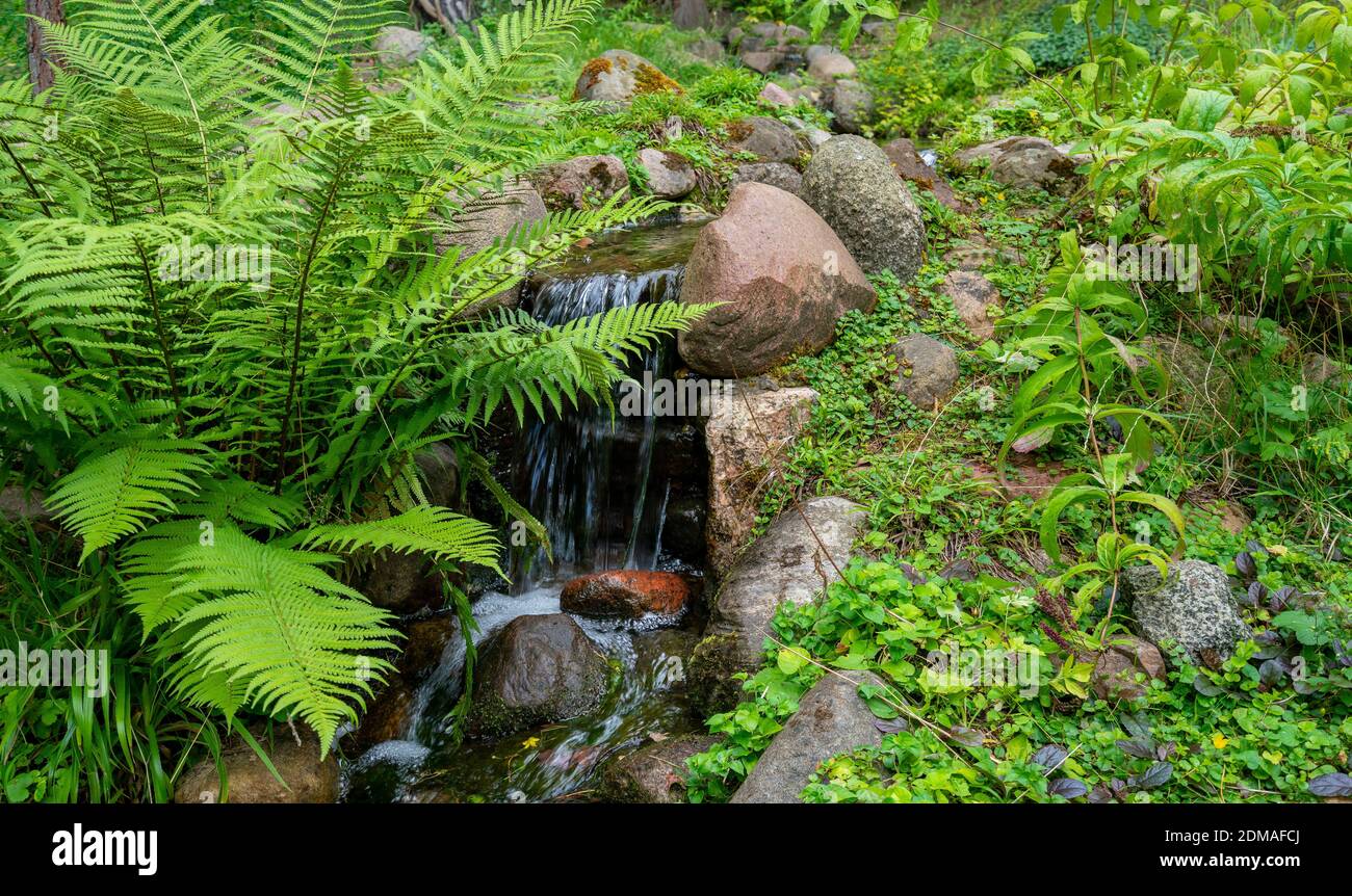 Quelle bach Fotos und Bildmaterial in hoher Auflösung Alamy