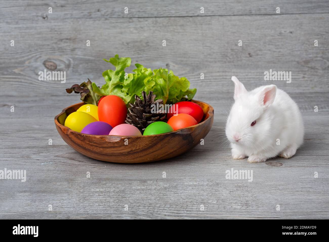 Frohe Ostern. Hase mit einem Korb Eier und Pinienzapfen. Kaninchen mit  bunten Ostereiern in einem mit Gemüse dekorierten Holztablett. Niedliche  Osterhase mit bemalten Ostereiern auf Holzhintergrund Stockfotografie -  Alamy