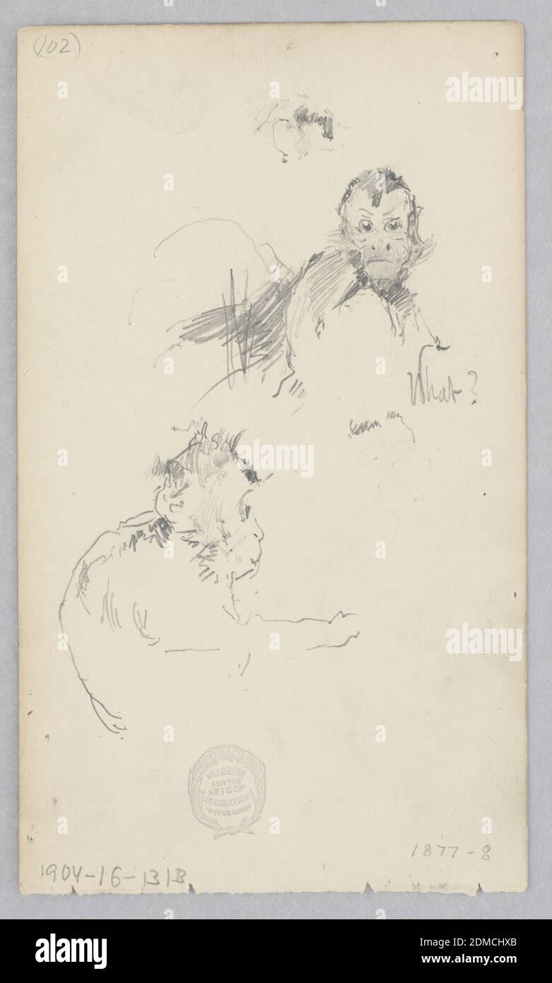 Affe, Robert Frederick Blum, Amerikaner, 1857–1903, Graphit auf Wovpapier, Skizze eines Geldes., USA, 1877–1878, Naturwissenschaft, Zeichnung Stockfoto