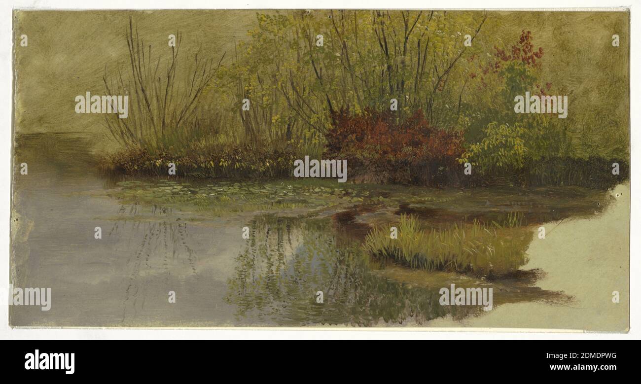 A Corner of a Pond, Frederic Edwin Church, American, 1826–1900, Pinsel und Ölfarbe auf Karton, EINE Studie eines Flecks von Gras und rotem Laub wird am Rand eines Teiches präsentiert. Das Laub wird im Wasser reflektiert, das den Vordergrund füllt. Die graue Farbe unten rechts ist die Farbe des Farbgrundes, den der Künstler vor Beginn der Ölskizze aufgetragen hat., USA, ca. 1860, Landschaften, Zeichnung Stockfoto