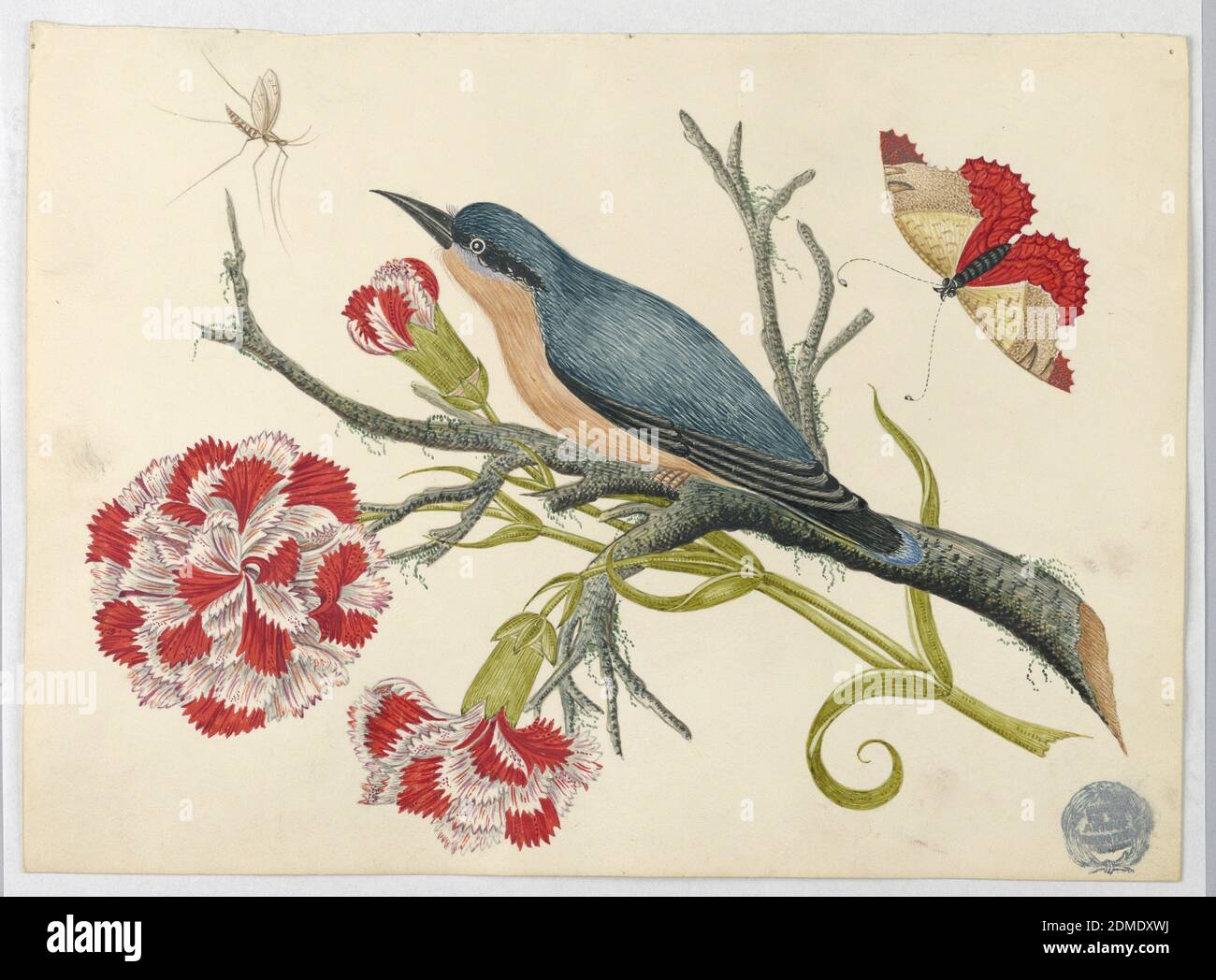 Blauer Vogel auf Zweig mit Nelken und Insekten, Feder und Tinte, Graphit auf beschichtetem Wove-Papier, Blauer Vogel auf Zweig mit Nelken und Insekten, ca. 1800–1830, Zeichnung Stockfoto