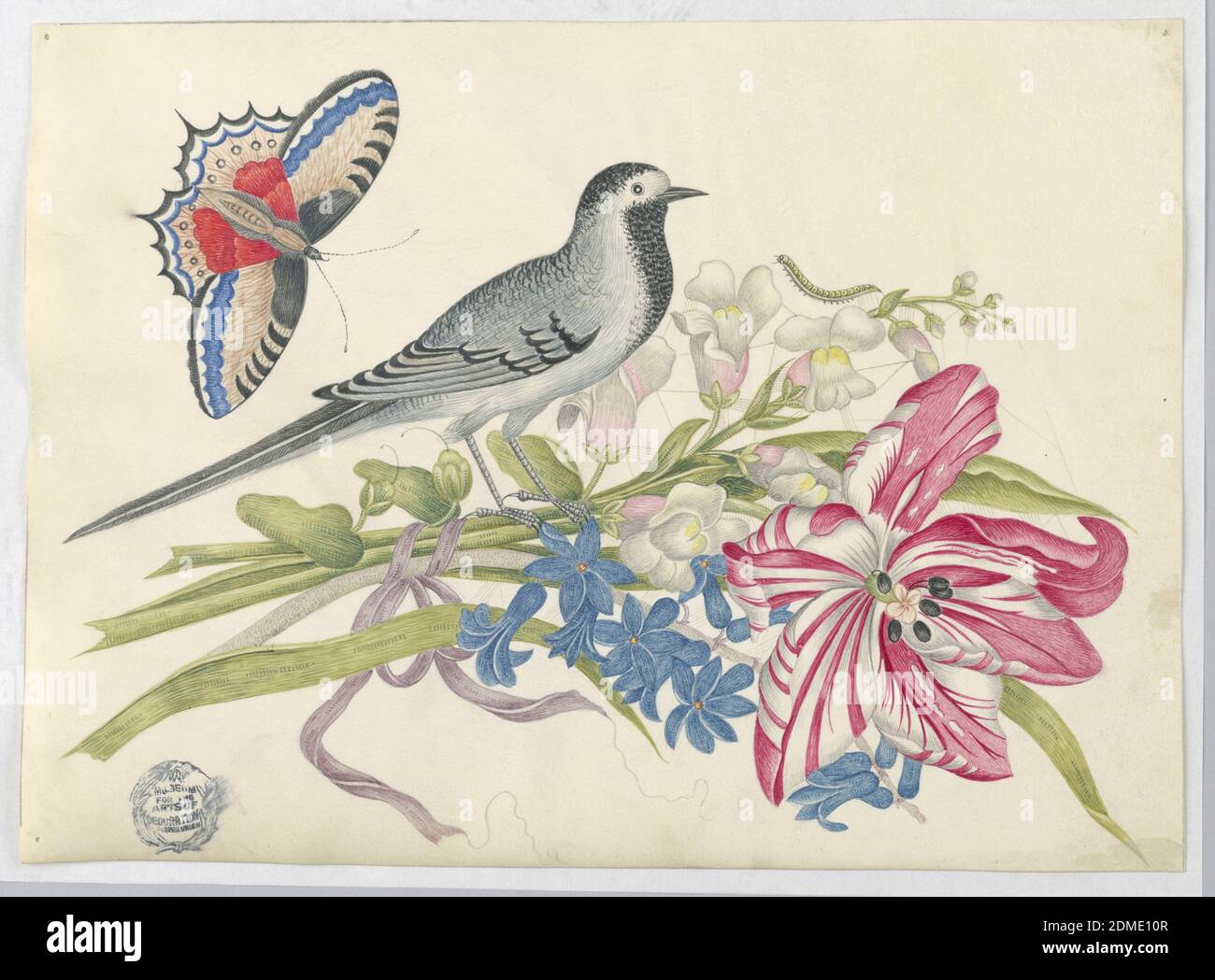 Grauer Vogel auf Zweig mit Tulip, Snapdragons und Forget-Me-Nots mit Schmetterling, Stift und Tinte, Graphit auf beschichtetem Wove-Papier, Grauer Vogel auf Zweig mit Tulip, Snapdragons und Forget-Me-Nots mit Schmetterling, ca. 1800–1830, Zeichnung Stockfoto