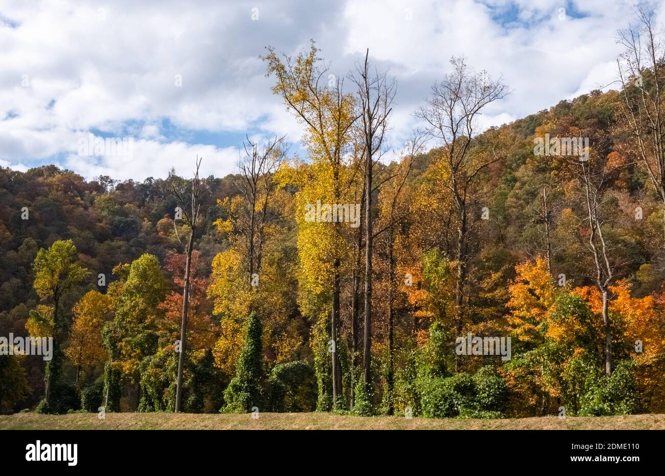 Landschaftlich Reizvolle Herbstfarbe Stockfoto