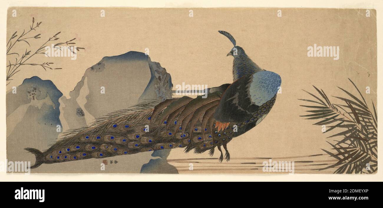 Pfau, Holzblock auf Papier steht EIN Pfau mit gesenktem Kopf auf hohen Klippen. Einige japanische Zeichen., Japan, 19. Jahrhundert, Naturwissenschaft, Print Stockfoto