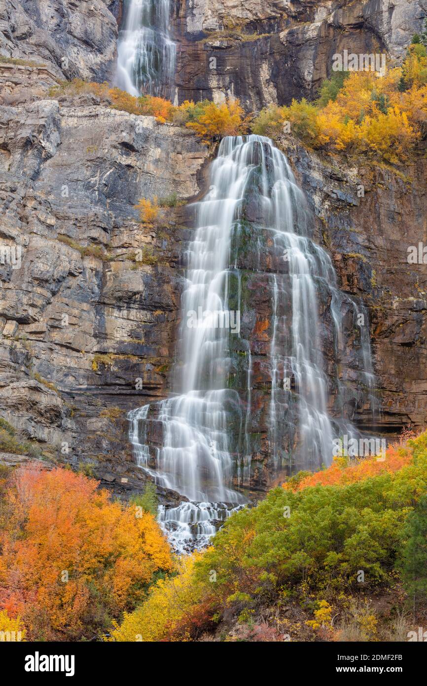 Bridal Veil Falls im Herbst, Provo Canyon, Uinta National Forest, Utah Stockfoto