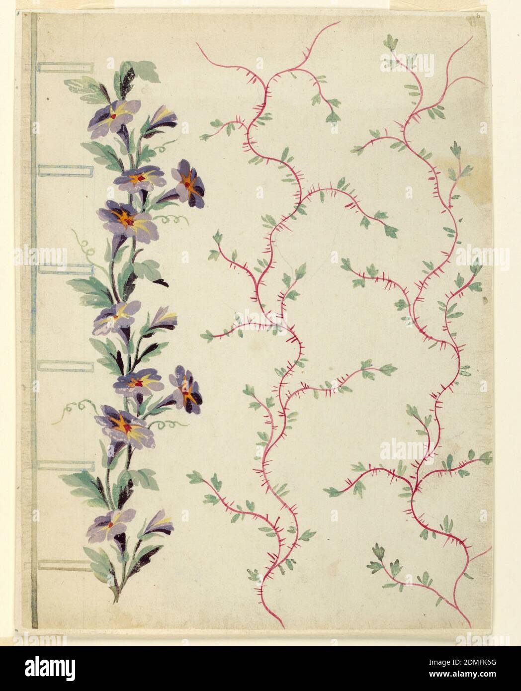 Design für die Stickerei der linken Seite einer Herrenweste der 'Fabrique de St. Ruf', 'Gilet' Design', Fabrique de Saint Ruf, Lyon, Frankreich, Graphit, Pinsel und Gouache auf Papier, EIN grünlicher Rand und sechs Knopflöcher sind links abgebildet. Daneben erhebt sich ein Blütenstiel. Hügelige, steigende Äste mit Dornen und Blättern schmücken das Feld., Frankreich, ca. 1785, Zeichnung Stockfoto