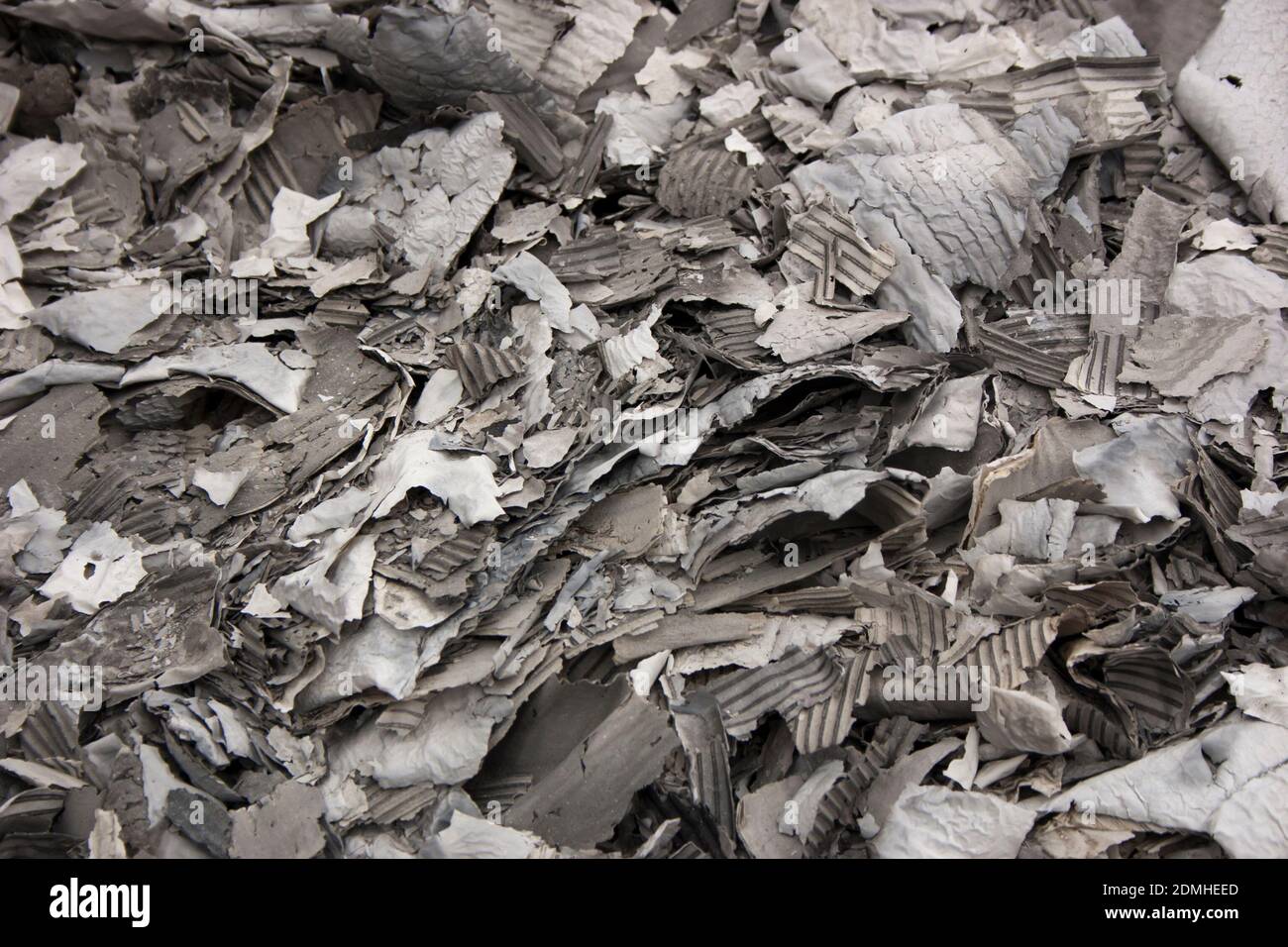 Die Asche der verbrannten Pappe. Große Mengen Asche aus verbrannter Kartonverpackung. Hintergrund Stockfoto