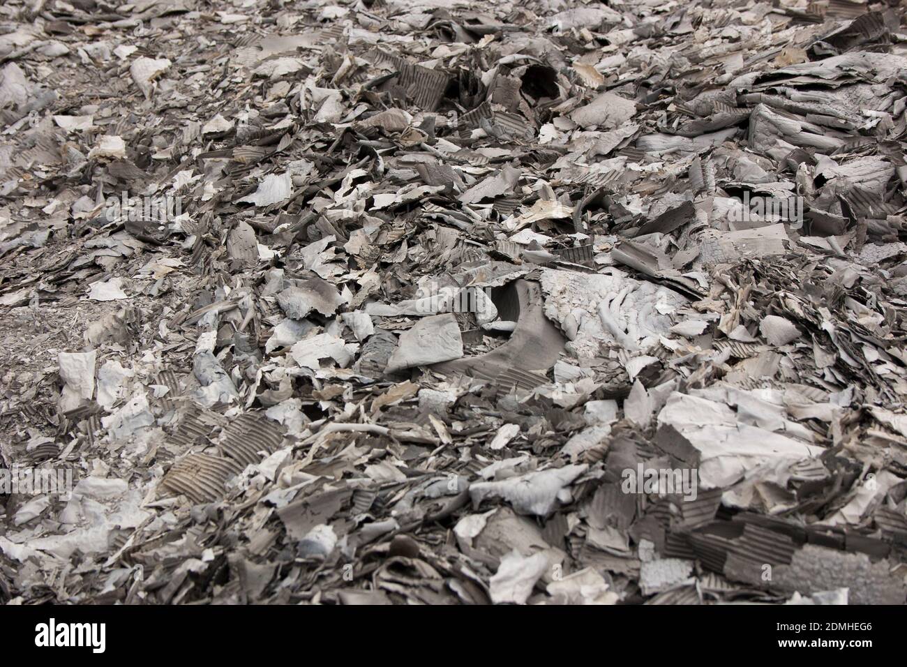 Die Asche der verbrannten Pappe. Große Mengen Asche aus verbrannter Kartonverpackung. Hintergrund Stockfoto