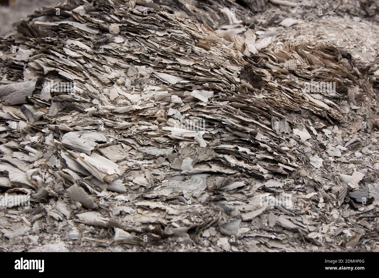Die Asche der verbrannten Pappe. Große Mengen Asche aus verbrannter Kartonverpackung. Hintergrund Stockfoto