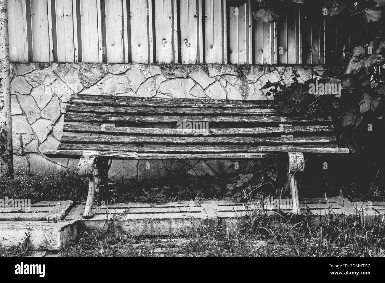 Eine Graustufenaufnahme einer Holzbank im Freien Stockfoto