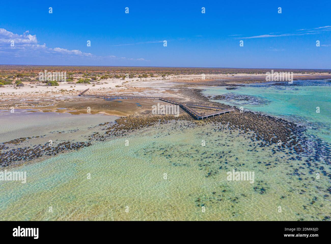 Holzsteg am Hamelin Pool für die Aussicht auf Stromatolithen, Australien Stockfoto