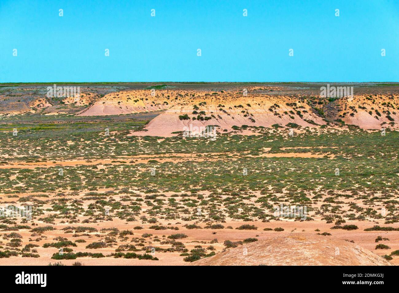 Landschaft mit trockenem geknackter Takir-Erde in Halbwüste. Stockfoto