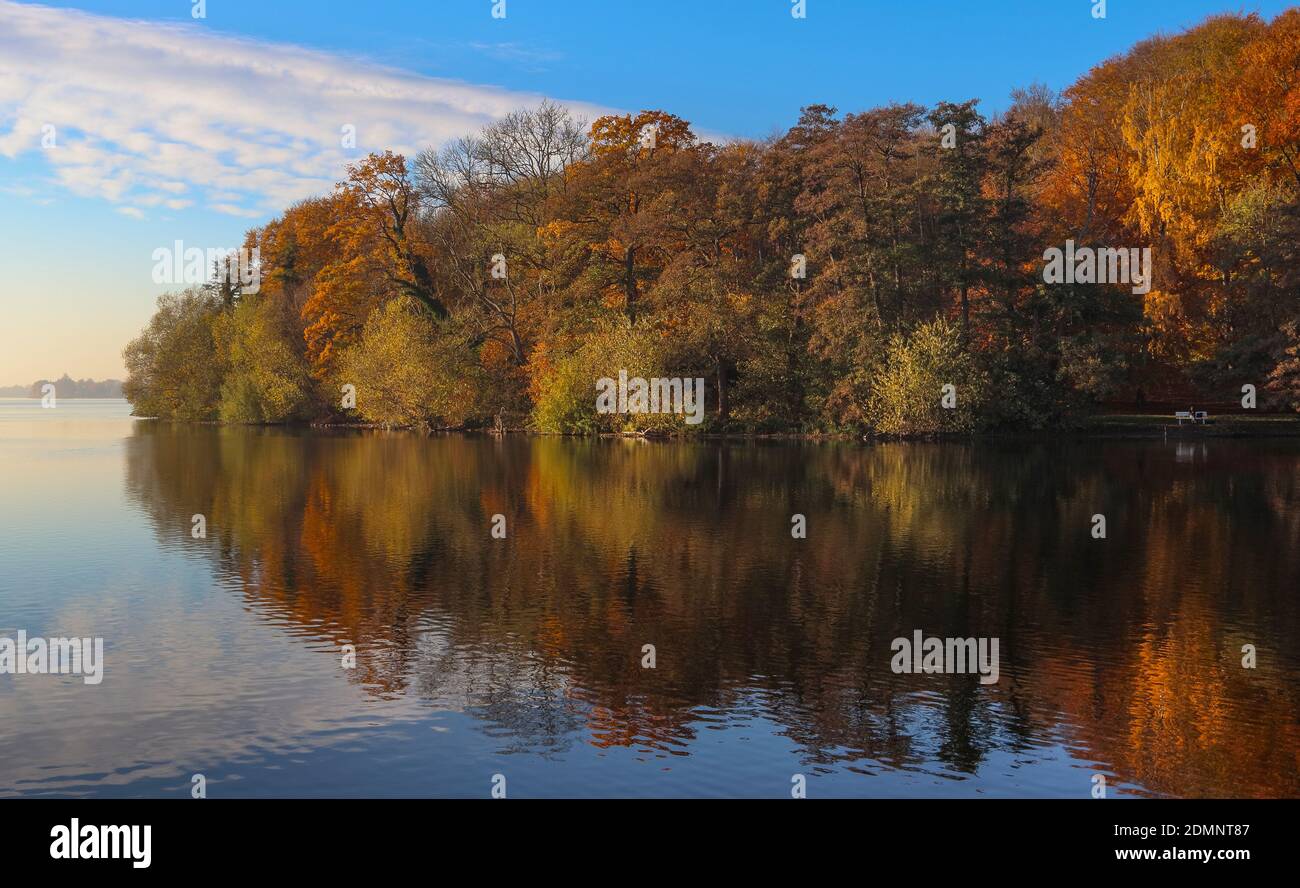 Der Dieksee in Bad Malente-Gremsmühlen im Herbst. Die magischen Farben der Bäume unterstrichen die schöne Atmosphäre am See. Stockfoto