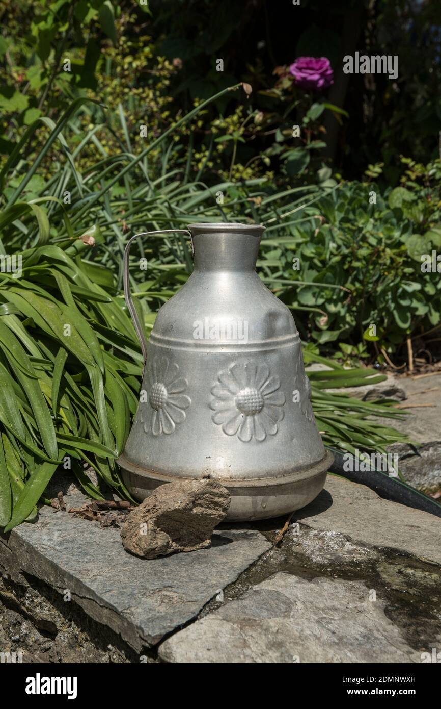 Alte Dose im Garten Stockfoto