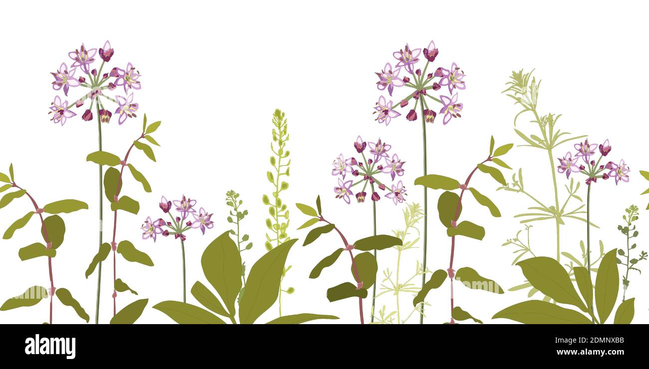 Vektor floral nahtlose Muster, Grenze mit lila Blüten. Stock Vektor