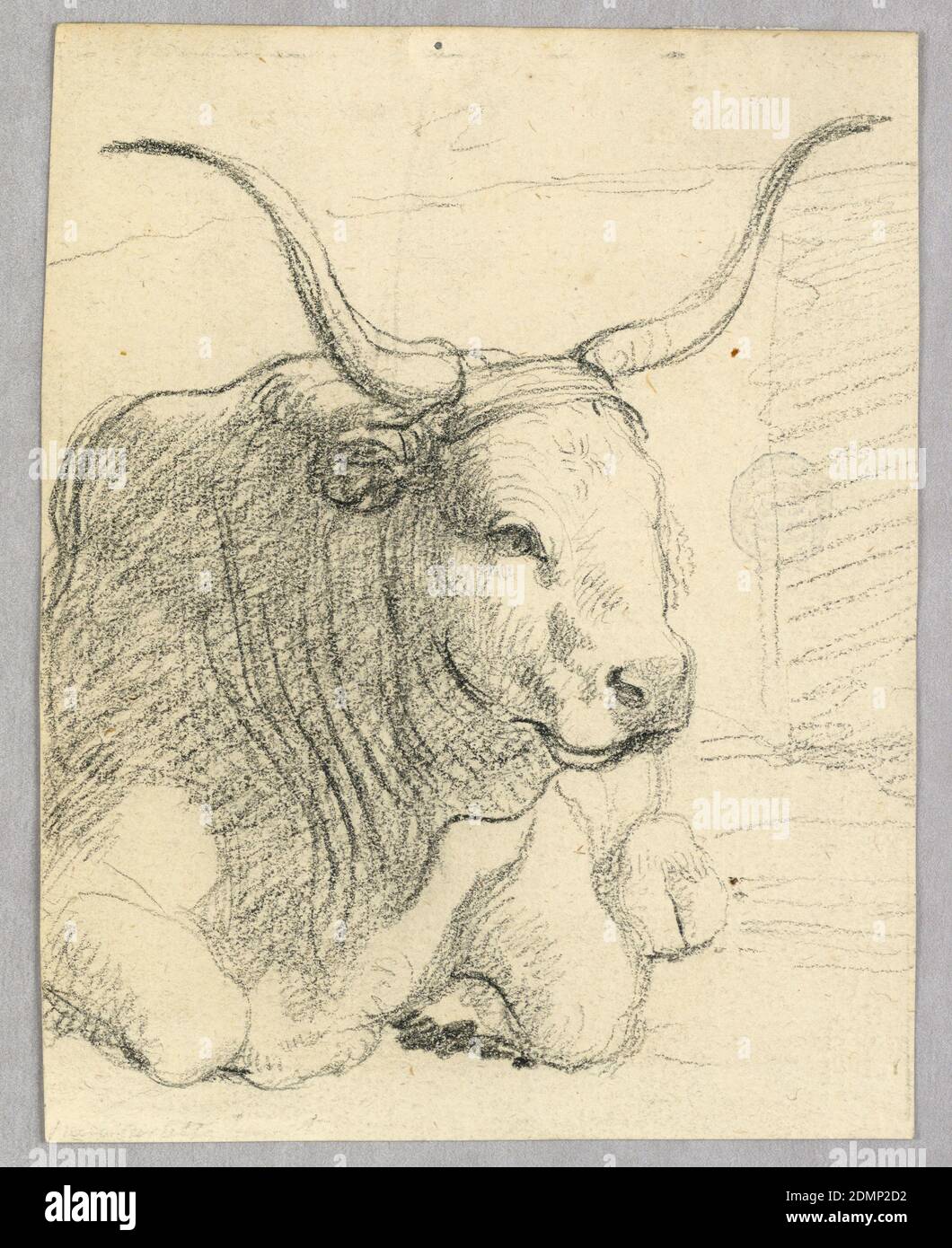 Studie: Eine liegende Kuh, Holzkohle auf Papier, Vertikale Komposition mit einer liegenden Kuh von vorne gesehen mit Kopf etwas nach rechts gedreht, Italien, ca. 1800, Naturstudien, Zeichnung Stockfoto