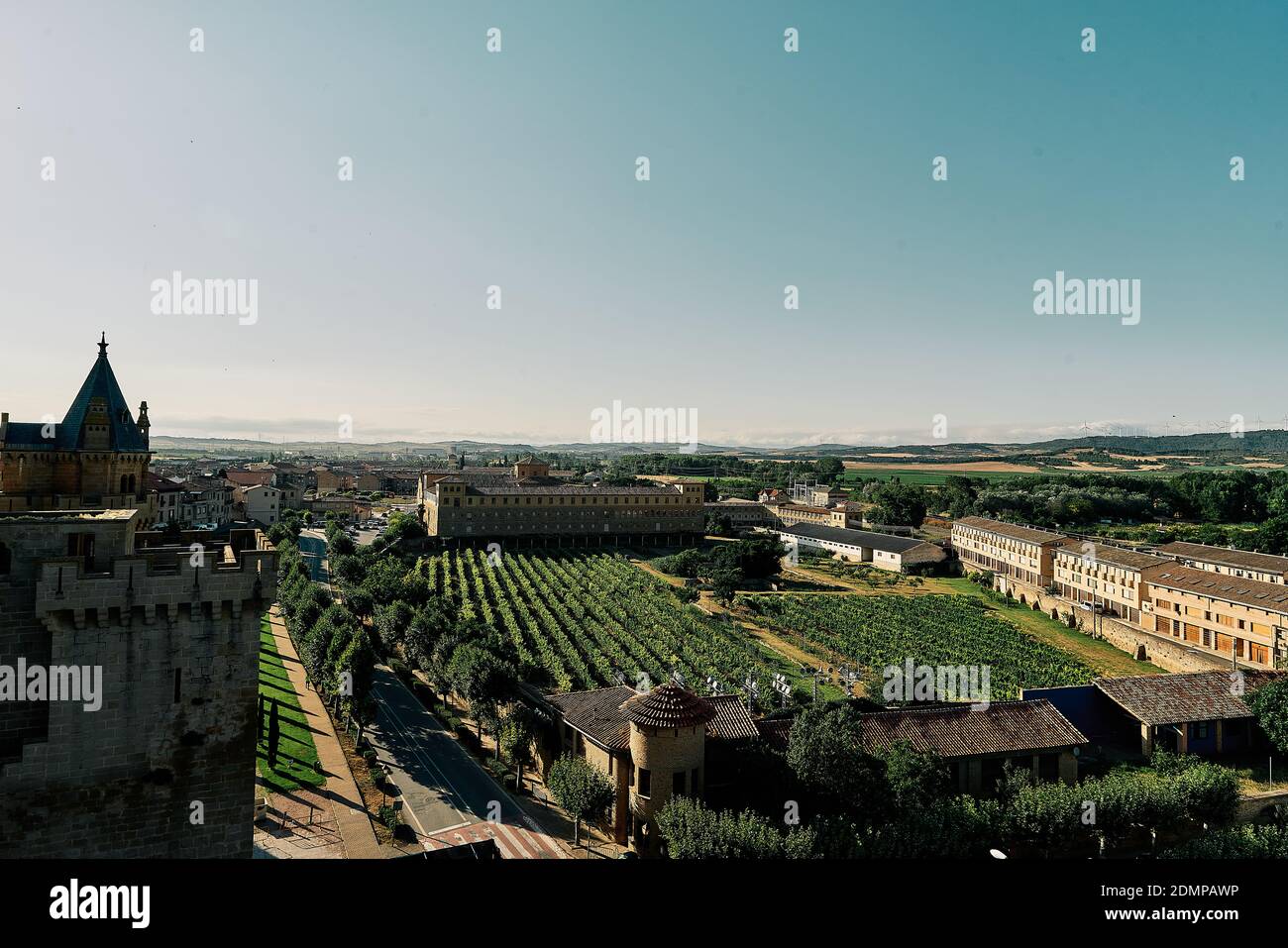 View of the vineyards from the castle of Olite in Navarre. Stockfoto