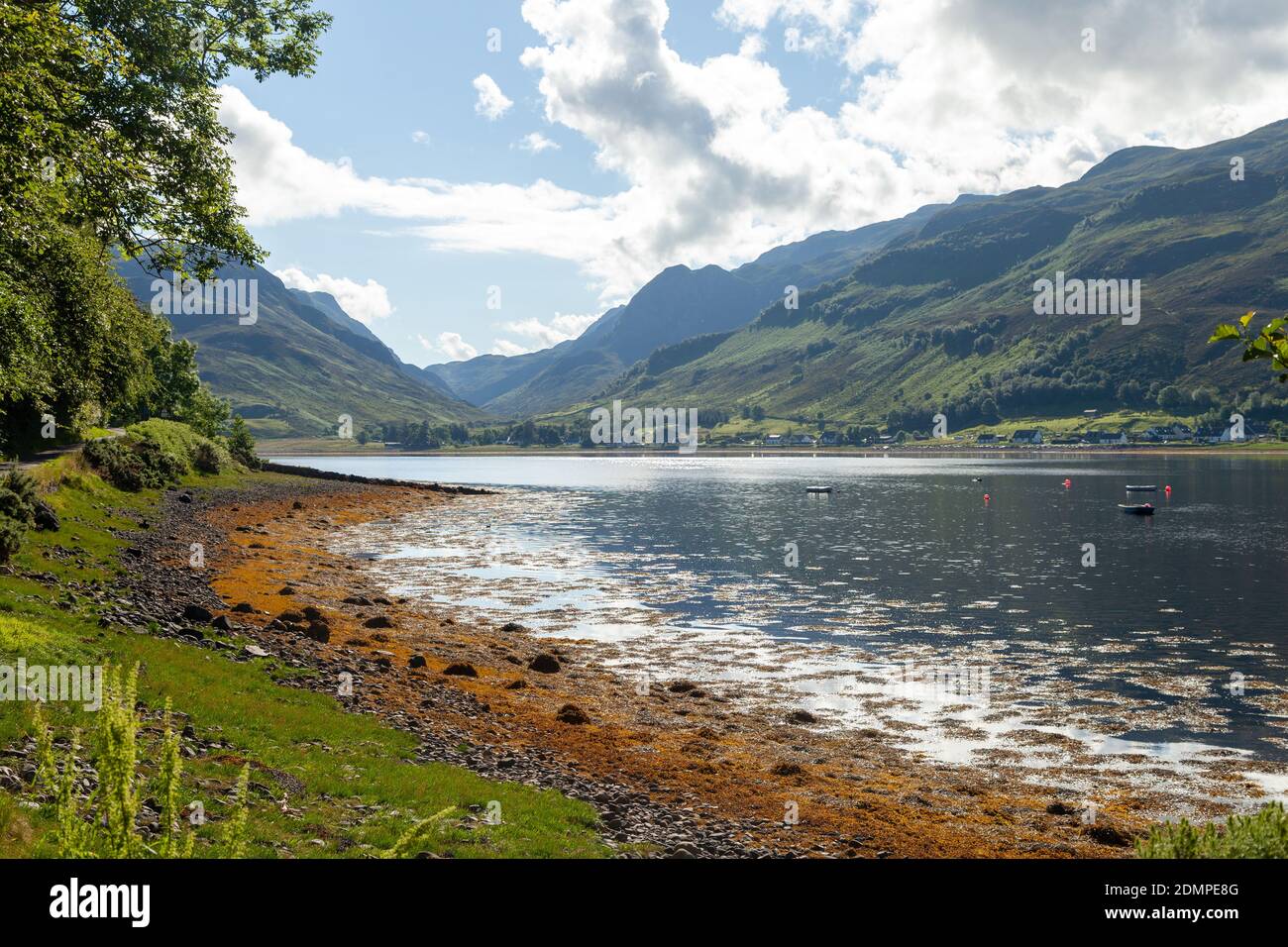 Schöne Aussicht auf Loch Long bei Dornie in den schottischen Highlands. Stockfoto