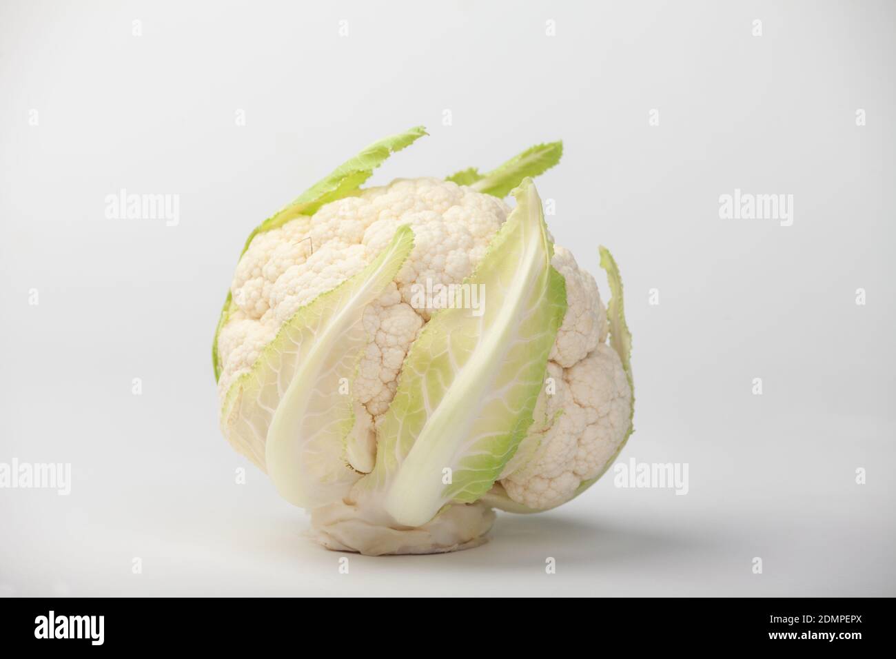 Nahaufnahme Von Blumenkohl Gegen Weißen Hintergrund Stockfoto