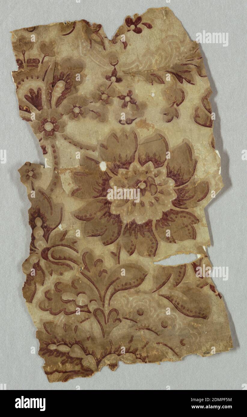 Seitenwand, maschinenbedruckt, großes stilisiertes Blumenmotiv. Gedruckt in braun, dunkelrot und cremefarben auf braunem Boden., USA, 1870–1900, Wallcoverings, Sidewall Stockfoto