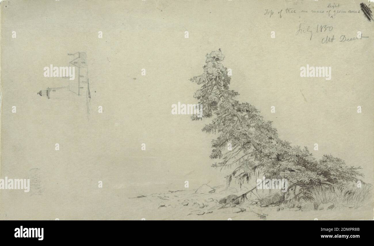 Immergrüner Baum nahe der Küste mit einem Detail des Leuchtturms und eines Hauses, Mount Desert, Maine, Frederic Edwin Church, amerikanisch, 1826–1900, Schwarz-Weiß-Buntstift auf hellem olivischem Papier, Horizontale Ansicht der Darstellung auf der rechten Hälfte eines immergrünen gezeigt schräg wachsend nahe dem Ufer des Meeres mit einer Wohnung und einem Leuchtturm vertikal in der Mitte links gezeigt., Maine, USA, Juli 1850, Naturstudien, Zeichnung Stockfoto