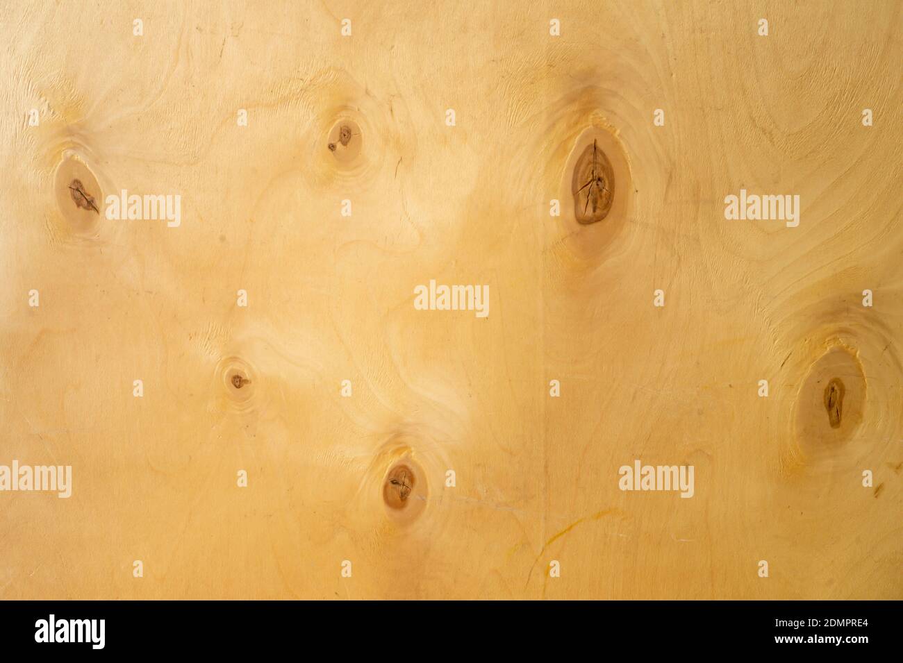 Der Holzhintergrund aus Furnier mit dunklem Knarl. Textur Baumkiefer Stockfoto