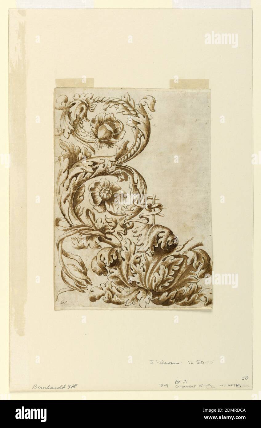 Floral Ornament, Feder und braune Tinte, braun waschen Unterstützung: Weißes Papier hingelegt, Italien, Italien, 1650–75, Architektur, Zeichnung Stockfoto